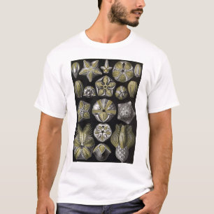 エルンスト・ヘッケル- Blastoidea Tシャツ