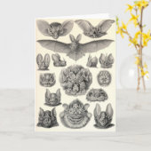 エルンスト・ヘッケル- Chiropteraのこうもり カード (黄色い花)