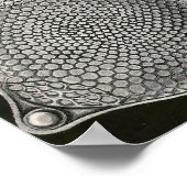 エルンスト・ヘッケル – Diatomea2 ポスター (角)