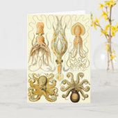 エルンスト・ヘッケル- Gamochonia カード (黄色い花)