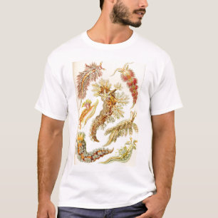エルンスト・ヘッケル- NudibranchiaのTシャツ Tシャツ
