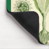 エルンスト・ヘッケル- Stauromedusaeのくらげ マウスパッド (コーナー)