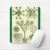 エルンスト・ヘッケル- Stauromedusaeのくらげ マウスパッド (マウス)