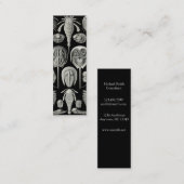 エルンスト・ヘッケルAspidonia スキニー名刺 (正面/裏面)