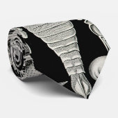 エルンスト・ヘッケルAspidonia ネクタイ (ロール)