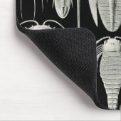 エルンスト・ヘッケルAspidonia マウスパッド (コーナー)