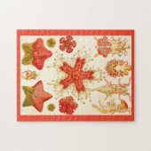 エルンスト・ヘッケルAsteridea ジグソーパズル (横)