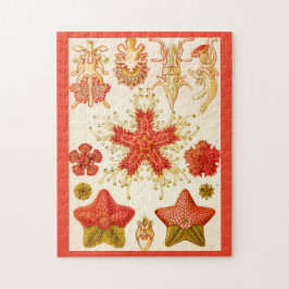 エルンスト・ヘッケルAsteridea ジグソーパズル