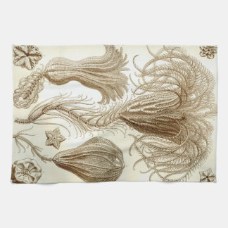 エルンスト・ヘッケルCrinoideaの羽星 キッチンタオル