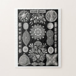 エルンスト・ヘッケルDiatomea ジグソーパズル