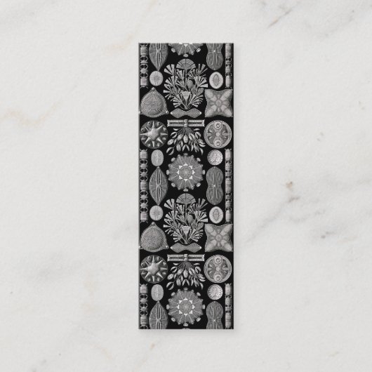 エルンスト・ヘッケルDiatomea スキニー名刺 (正面)