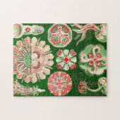 エルンスト・ヘッケルDiscomedusae (Aurelia) ジグソーパズル (横)