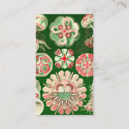 エルンスト・ヘッケルDiscomedusae (Aurelia) 名刺