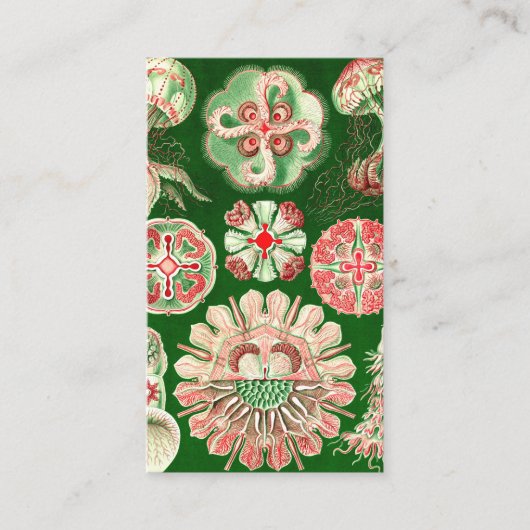 エルンスト・ヘッケルDiscomedusae (Aurelia) 名刺 (正面)