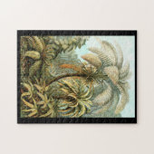 エルンスト・ヘッケルFilicinae ジグソーパズル (横)