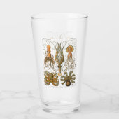 エルンスト・ヘッケルGamochoniaのタコ、イカ タンブラーグラス (裏面)