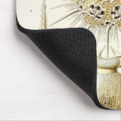 エルンスト・ヘッケルPhaeodaria マウスパッド (コーナー)