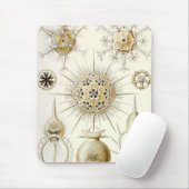 エルンスト・ヘッケルPhaeodaria マウスパッド (マウス)