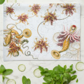 エルンスト・ヘッケルSiphonophoraeのくらげ キッチンタオル (折り畳み)