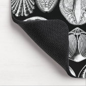 エルンスト・ヘッケルSpirobranchia マウスパッド (コーナー)