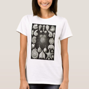 エルンスト・ヘッケルThalamphora Tシャツ