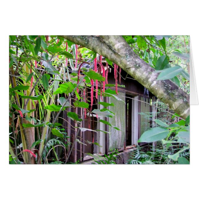 エルヴィス・プレスリーのバンガロー (正面横)