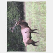 エル威厳のあるク フリースブランケット (正面)