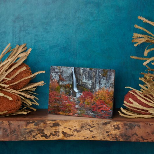 エル・チョリリョの滝 | パタゴニア, アルゼンチン フォトプラーク (側面)