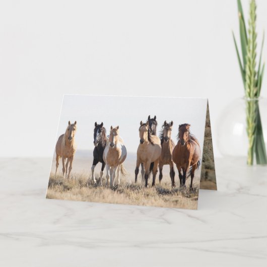 エル・ドラドと彼の家族のグリーティングカード サンキューカード (正面)