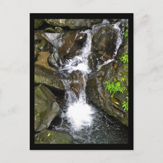 エル・ユンケ国立熱帯雨林の滝 ポストカード (正面)