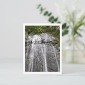 エル・ユンケ国立熱帯雨林の滝 ポストカード (スタンド正面)