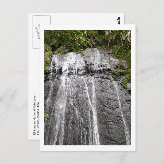 エル・ユンケ国立雨林の滝 ポストカード (正面/裏面)