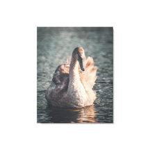 エレガンスオンザワイエ