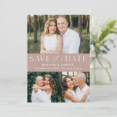 エレガンスモダンダスティバラ3写真 セーブザデート (スタンド正面)