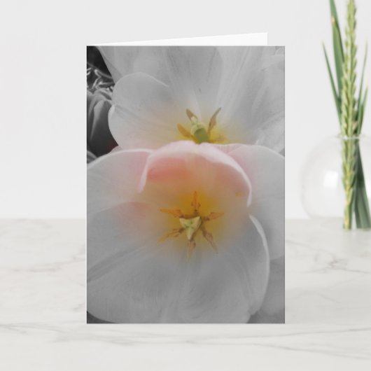 エレガンス カード (正面)