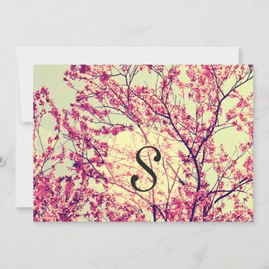 エレガントさくらんぼの花オン素朴ティール（緑がかった色） 招待状 (裏面)