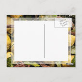 エレガントでイタリアンなレモンバスケットのアマルフィの海岸レモン ポストカード (裏面)