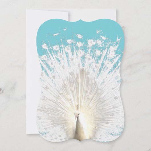 エレガントで白い孔雀は結婚式招待状に羽をつけます 招待状 (裏面)