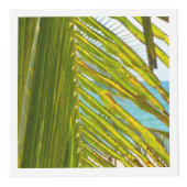 エレガントで白い熱帯 フォトキューブ (右)