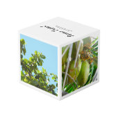 エレガントで白い熱帯 フォトキューブ (裏面アングル)