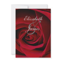 エレガントで赤いバラ