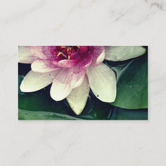 エレガントなはすの花の名刺 名刺 (裏面)