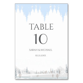 エレガントなウィンターワンダーランドの雪の結晶 テーブルナンバー