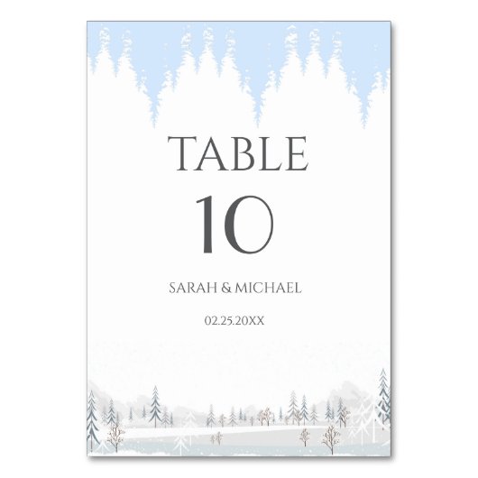 エレガントなウィンターワンダーランド 雪の結晶 テーブルナンバー (正面)