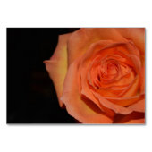 エレガントなウェディングシャワー花バラ運命の平和 テーブルナンバー (裏面)