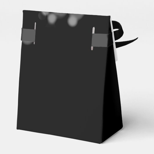 エレガントなウェディングシルバーライト フェイバーボックス (裏面サイド)