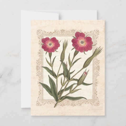 エレガントなガーデニングレディの50歳の誕生日パーティー 招待状 (正面)