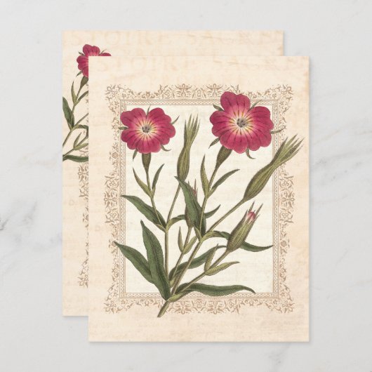 エレガントなガーデニングレディの50歳の誕生日パーティー 招待状 (正面/裏面)