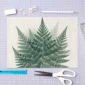 エレガントなグリーンファーンの葉の植物画 薄葉紙 (クラフト)