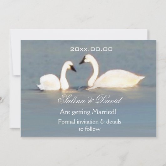 エレガントなスワンの結婚式お知らせカード セーブザデート (裏面)